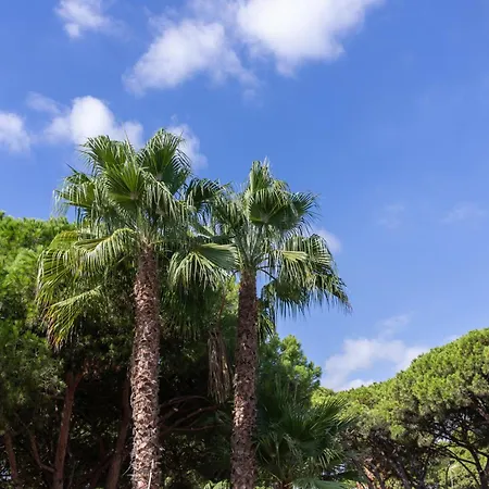 Palmeras Aparthotel Castelldefels