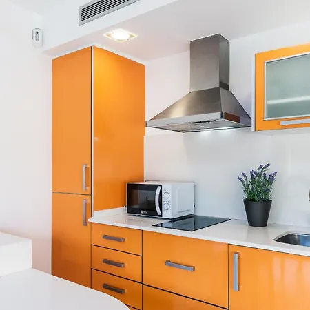 Palmeras Castelldefels