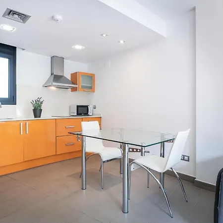 Palmeras Castelldefels